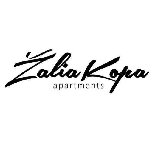 Zalia Kopa Apartamentai Salia Juros 帕兰加 外观 照片